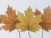 020-2