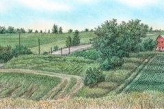 IMG_0524 (2)