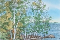 IMG_1336-002