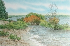 Mark-Mueller_graphics_3